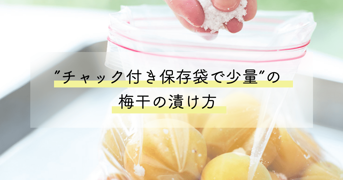 最大99％オフ！ 安全安心の台湾産 保存に便利なチャック付き袋 紹興梅 話梅 種有100g 袋 台湾産干し梅 梅干し 干梅 業務用食材  altaruco.com