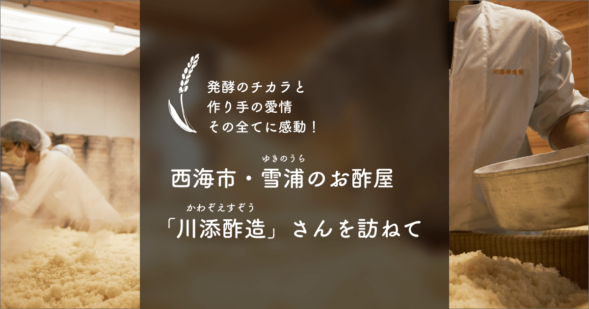 西海市・雪浦のお酢屋「川添酢造」さんを訪ねて | ファンタスマーケット