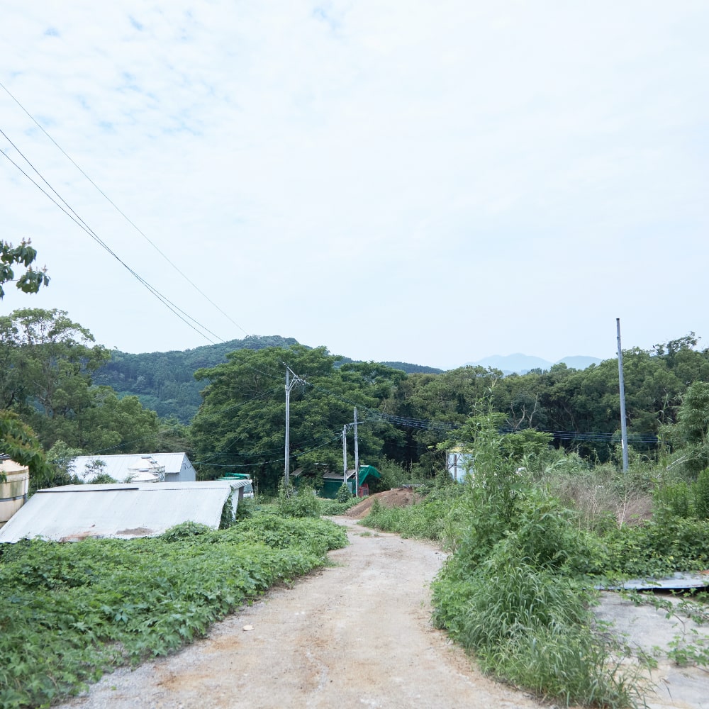 緑深き小道を上った場所「土井農場の豚舎」