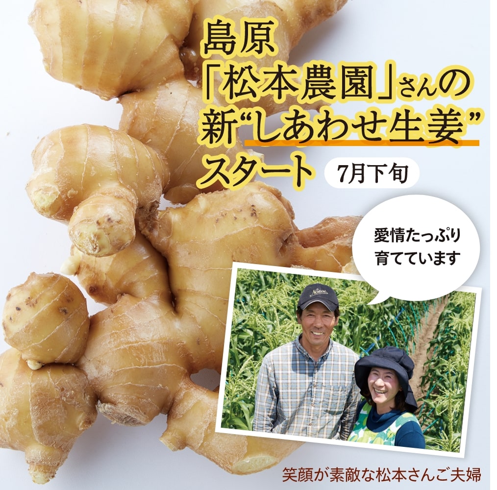 島原
「松本農園」さんの
新“しあわせ生姜”
スタート
7月下旬