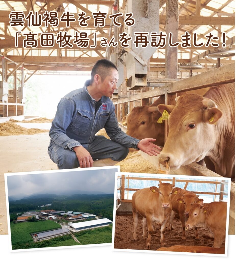 雲仙褐牛（あかうし）を育てる
「髙田牧場」さんを再訪しました！
